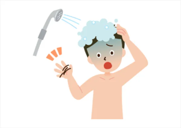 抜け毛・脱毛の仕組み