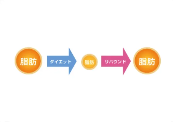 太りやすい体質・痩せやすい体質